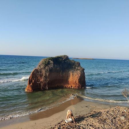 La Violetta Ostuni Lägenhet Exteriör bild
