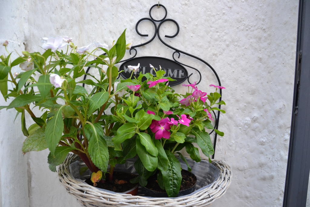 La Violetta Ostuni Lägenhet Rum bild
